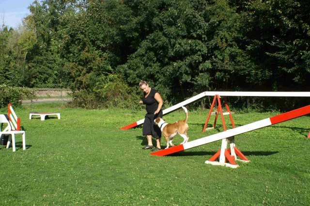 agility 2011-08